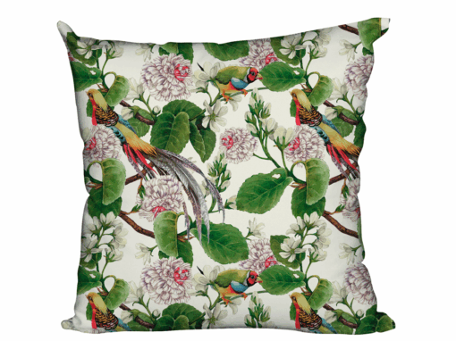 Parrots